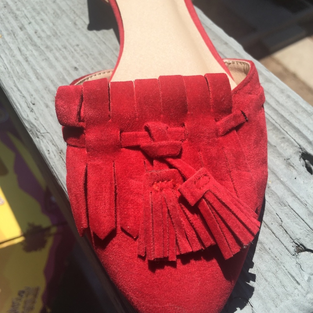 Pointed toe flats